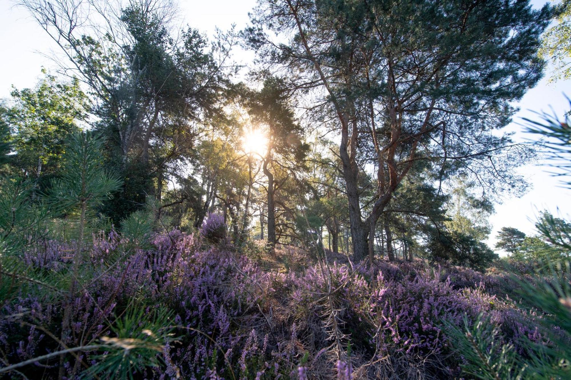 Vakantiepark Hoelte Rijssen Luaran gambar